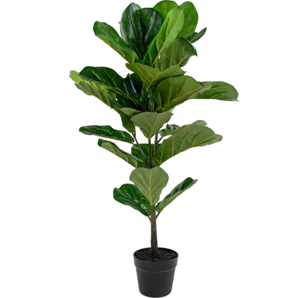 De Gardenia Fiddle X1 – 85 cm Tall Artificial Plant | Lifelike Faux Indoor & Outdoor Décor Without Pot