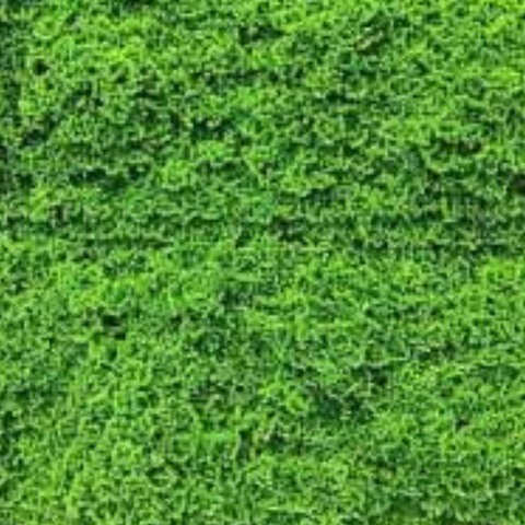 De Gardenia 50x50 cm Artificial Greenery Wall Panel – Lush Faux Vertical Garden Mat for Wall, Balcony & Home Décor