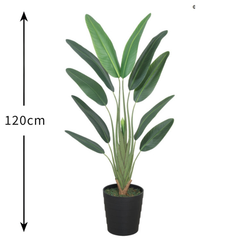 De Gardenia Bird of Paradise X1  120 cm Tall Artificial Plant | Lifelike Tropical Faux Greenery Without Pot for Home & Office Décor