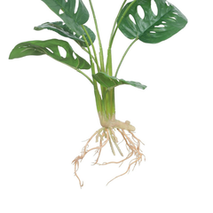 De Gardenia Artificial Monstera Rubber Plant with Black Pot – 50 cm Tall Faux Indoor Greenery for Home Décor | Realistic Ornamental Plant