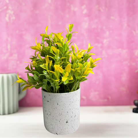 De Gardenia Artificial Rubber Plant – Small Faux Potted Plant for Tabletop, Home, Bathroom & Office Décor | Indoor Decorative Greenery