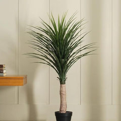 De Gardenia Artificial Nolina Floor Plant – 150 cm Tall | Realistic Faux Indoor Ornamental Plant | Durable & Maintenance-Free Home & Office Decor | Pot Not Included