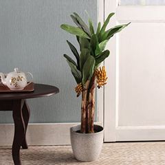 De Gardenia Banana X3 – 90 cm Tall Artificial Plant | Lifelike Faux Indoor & Outdoor Décor Without Pot