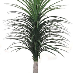 De Gardenia Artificial Nolina Floor Plant – 150 cm Tall | Realistic Faux Indoor Ornamental Plant | Durable & Maintenance-Free Home & Office Decor | Pot Not Included