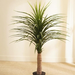 De Gardenia Artificial Nolina Floor Plant – 150 cm Tall | Realistic Faux Indoor Ornamental Plant | Durable & Maintenance-Free Home & Office Decor | Pot Not Included