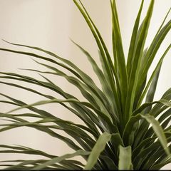 De Gardenia Artificial Nolina Floor Plant – 150 cm Tall | Realistic Faux Indoor Ornamental Plant | Durable & Maintenance-Free Home & Office Decor | Pot Not Included