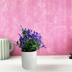 De Gardenia Artificial Rubber Plant – Small Faux Potted Plant for Tabletop, Home, Bathroom & Office Décor | Indoor Decorative Greenery