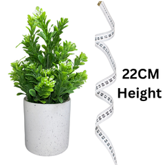 De Gardenia Artificial Rubber Plant – Small Faux Potted Plant for Tabletop, Home, Bathroom & Office Décor | Indoor Decorative Greenery