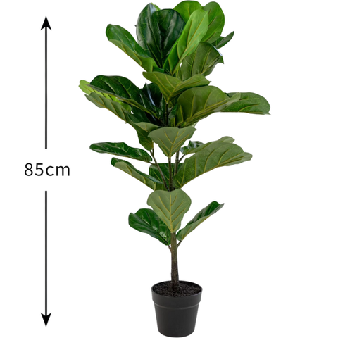 De Gardenia Fiddle X1 – 85 cm Tall Artificial Plant | Lifelike Faux Indoor & Outdoor Décor Without Pot