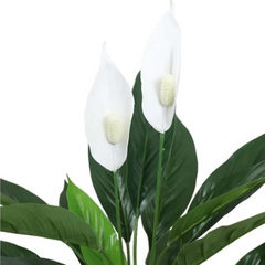 De Gardenia Artificial Spathe Plant – Realistic Indoor Faux Greenery with Pot for Home & Office Décor