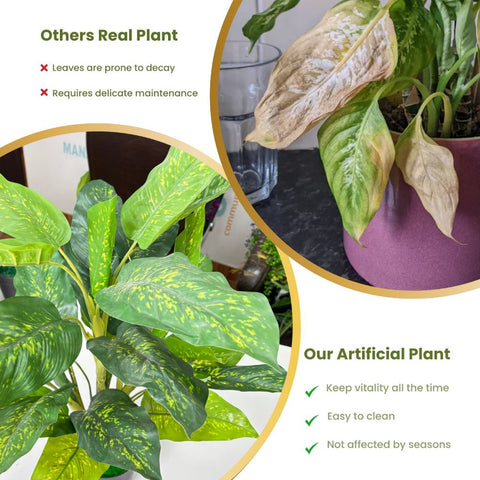 De Gardenia Artificial Dieffenbachia Plant with Pot – 80cm Tall Faux Indoor Plant with Broad Green & Cream Leaves | 4 Stems | Realistic Decorative Plant for Home & Office