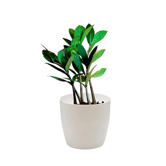 De Gardenia Flower Pots - 4.4 Inch Plastic Flower Pots | Modern Decorative Indoor Outdoor Planters/Pots - Plant Not Included - Pack of 3