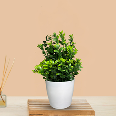 De Gardenia Artificial Rubber Plant – Small Faux Potted Plant for Tabletop, Home, Bathroom & Office Décor | Indoor Decorative Greenery