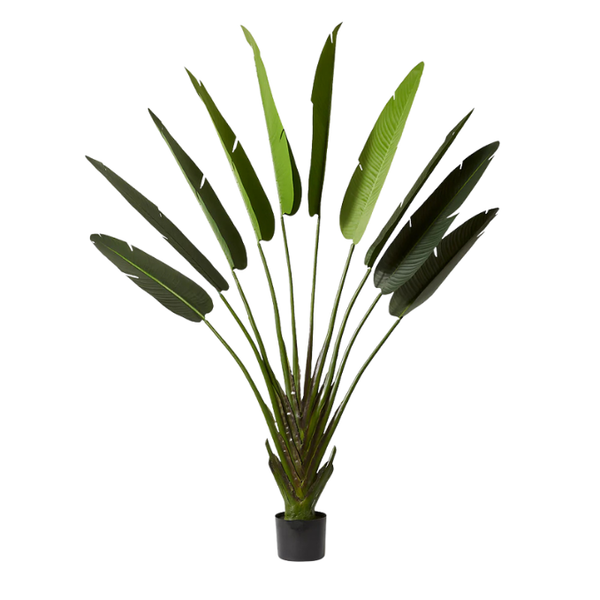 De Gardenia 220cm Artificial Traveller Palm Tree with Pot – 9 Leaves Extra Tall Faux Tropical Indoor Plant for Home, Office & Hotel Décor