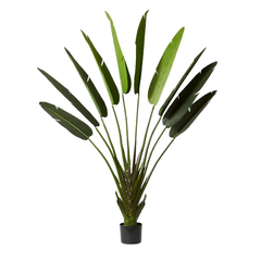 De Gardenia 220cm Artificial Traveller Palm Tree with Pot – 9 Leaves Extra Tall Faux Tropical Indoor Plant for Home, Office & Hotel Décor
