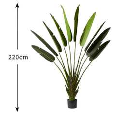 De Gardenia 220cm Artificial Traveller Palm Tree with Pot – 9 Leaves Extra Tall Faux Tropical Indoor Plant for Home, Office & Hotel Décor
