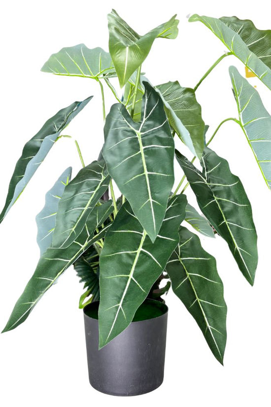 De Gardenia Alocasia Polly Artificial Plant with Pot – 80cm Tall Faux African Mask Plant with Bold Veined Leaves | Indoor Tropical Plant for Home & Office Decor