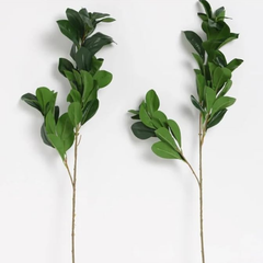 De Gardenia Faux Lemon Leaves – 26" Artificial Green Leaf Branches (Pack of 2) | Faux Greenery Stems for Home & Event Décor | Pot Not Included