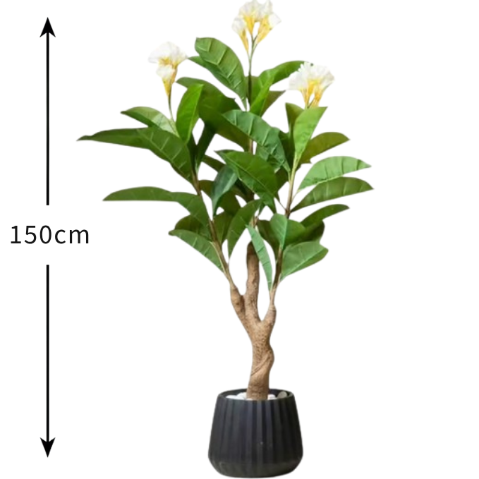 De Gardenia Frangipani X3 – 150 cm Tall Artificial Plant | Lifelike Faux Indoor & Outdoor Décor Without Pot