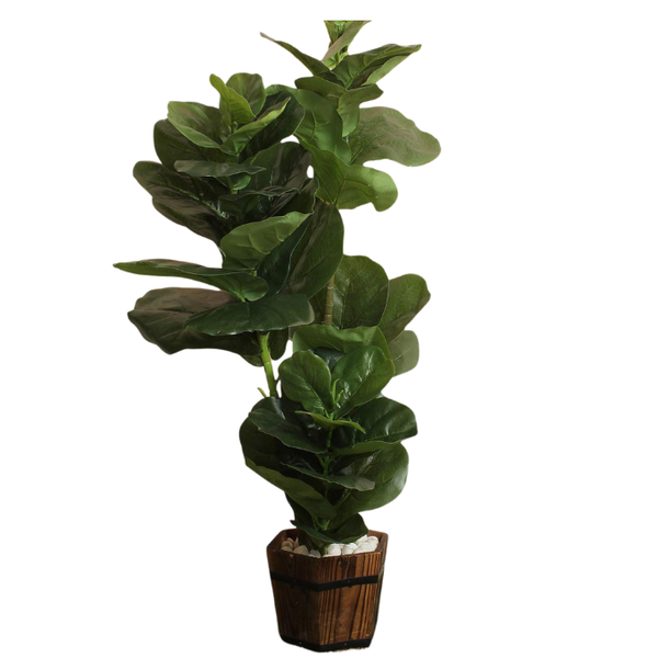 De Gardenia Fiddle X4 – 120 cm Tall Artificial Plant | Lifelike Faux Indoor & Outdoor Décor Without Pot