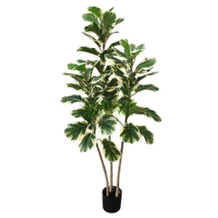 De Gardenia Variegated Fiddle Leaf Fig – 150 cm Tall Artificial Plant with Pot | Lifelike Faux Indoor Decorative Greenery