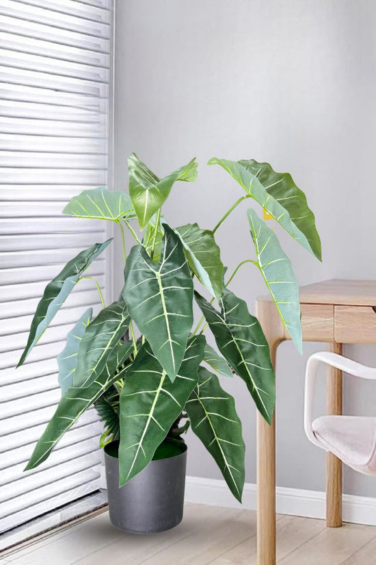 De Gardenia Alocasia Polly Artificial Plant with Pot – 80cm Tall Faux African Mask Plant with Bold Veined Leaves | Indoor Tropical Plant for Home & Office Decor