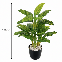 De Gardenia 100CM Real Touch Artificial Dieffenbachia Plant (X5, Without Pot) – Lifelike Tropical Green Plant for Home & Office Décor