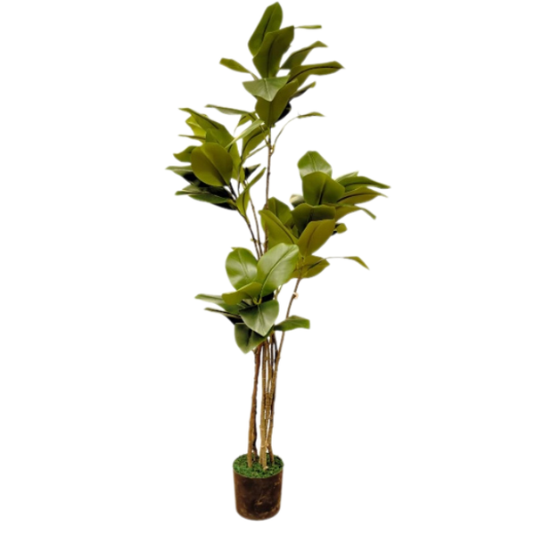 De Gardenia Rubber Plant – 120 cm Tall Artificial Plant | Lifelike Faux Indoor & Outdoor Décor Without Pot
