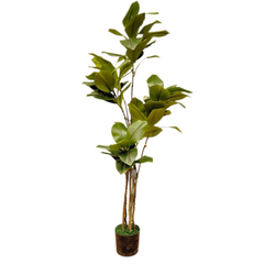 De Gardenia Rubber Plant – 120 cm Tall Artificial Plant | Lifelike Faux Indoor & Outdoor Décor Without Pot