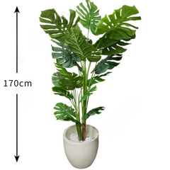 De Gardenia Monstera X3 – 170 cm Tall Artificial Plant Without Pot | Lifelike Faux Tropical Greenery for Home & Office Décor