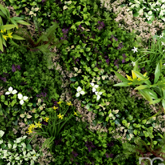 De Gardenia 100x100cm Artificial Greenery Wall Panel – Lush Faux Vertical Garden Mat for Wall, Balcony, Fence & Home Décor