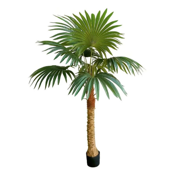 De Gardenia Fan Palm X12 Leaves – 180 cm Tall Artificial Plant | Lifelike Faux Indoor & Outdoor Décor Without Pot