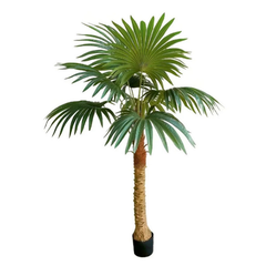 De Gardenia Fan Palm X12 Leaves – 180 cm Tall Artificial Plant | Lifelike Faux Indoor & Outdoor Décor Without Pot