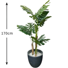 De Gardenia Monstera X12 – 170 cm Tall Artificial Plant Without Pot | Lifelike Faux Tropical Greenery for Home & Office Décor