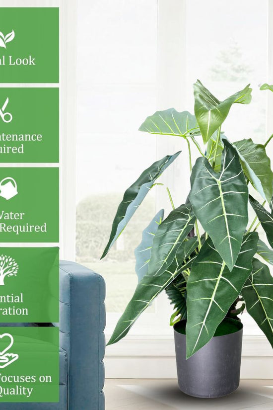 De Gardenia Alocasia Polly Artificial Plant with Pot – 80cm Tall Faux African Mask Plant with Bold Veined Leaves | Indoor Tropical Plant for Home & Office Decor