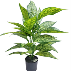 De Gardenia Aglonema X18 – 65 cm Tall Artificial Plant | Lifelike Faux Indoor & Outdoor Décor