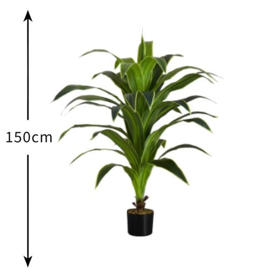 De Gardenia Dracaena White – 150 cm Tall Artificial Plant Without Pot | Lifelike Faux Decorative Greenery for Home & Office