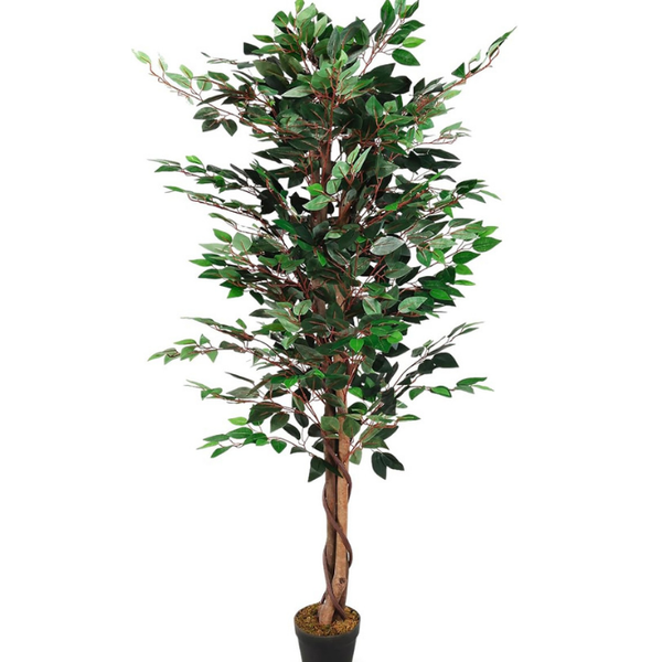 De Gardenia 180cm Artificial Ficus Tree – Extra Tall Lifelike Faux Indoor Plant Without Pot for Home, Office & Hotel Décor