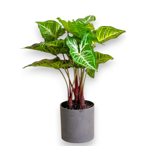 De Gardenia Artificial Philodendron Plant – 40 cm (16") Tall Faux Green Plant with Plastic Pot | Realistic Indoor Decorative Plant for Home & Office Décor
