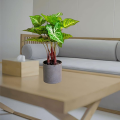 De Gardenia Artificial Philodendron Plant – 40 cm (16") Tall Faux Green Plant with Plastic Pot | Realistic Indoor Decorative Plant for Home & Office Décor