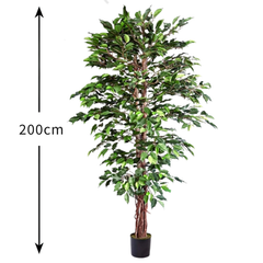 De Gardenia 200cm Artificial Ficus Tree – Extra Tall Lifelike Faux Indoor Plant Without Pot for Home, Office & Event Décor