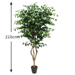 De Gardenia 210cm Artificial Ficus Tree with Pot – Extra Tall Lifelike Faux Indoor Plant for Home, Office & Hotel Décor