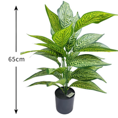 De Gardenia Aglonema X18 – 65 cm Tall Artificial Plant | Lifelike Faux Indoor & Outdoor Décor