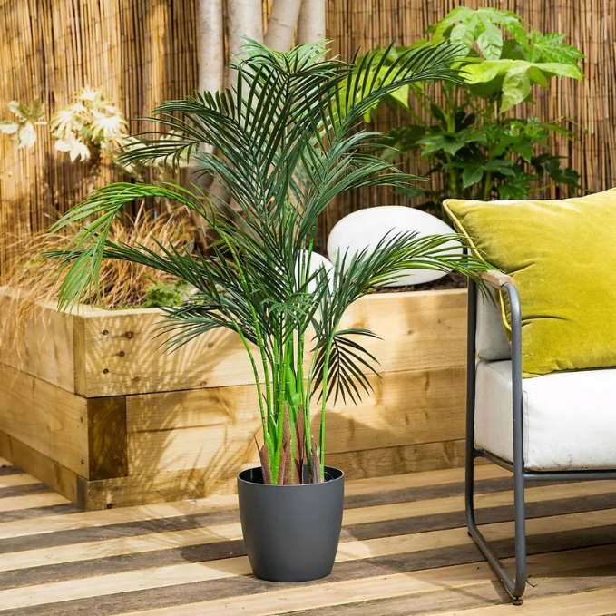 De Gardenia Areca Palm X4 – 130 cm Tall Artificial Plant Without Pot | Lush Faux Green Tropical Plant for Home & Office Décor
