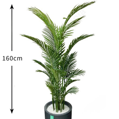 De Gardenia Areca Palm X15 – 160 cm Tall Artificial Plant Without Pot | Extra-Full Faux Tropical Greenery for Home, Office & Event Décor