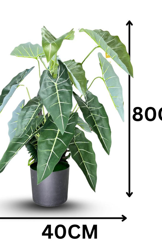 De Gardenia Alocasia Polly Artificial Plant with Pot – 80cm Tall Faux African Mask Plant with Bold Veined Leaves | Indoor Tropical Plant for Home & Office Decor