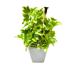 De Gardenia Mini Artificial Wandering Plant – 19 cm Tall Faux Green Plant with Ceramic Vase | Indoor Decorative Plant for Home & Office Décor