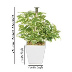 De Gardenia Mini Artificial Wandering Plant – 19 cm Tall Faux Green Plant with Ceramic Vase | Indoor Decorative Plant for Home & Office Décor