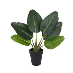 De Gardenia Artificial Banana Travellers Palm Plant – 36 cm (14") Tall Faux Tropical Plant with Plastic Pot | Realistic Indoor Greenery for Home & Office Décor