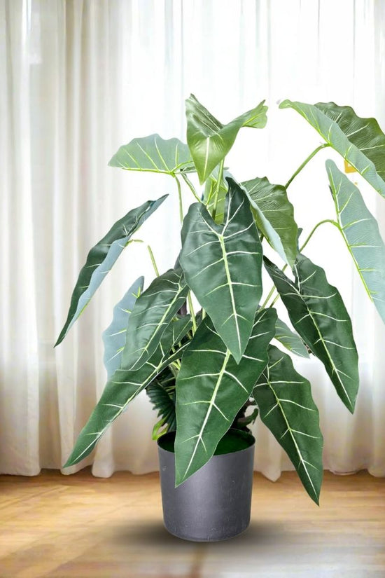 De Gardenia Alocasia Polly Artificial Plant with Pot – 80cm Tall Faux African Mask Plant with Bold Veined Leaves | Indoor Tropical Plant for Home & Office Decor